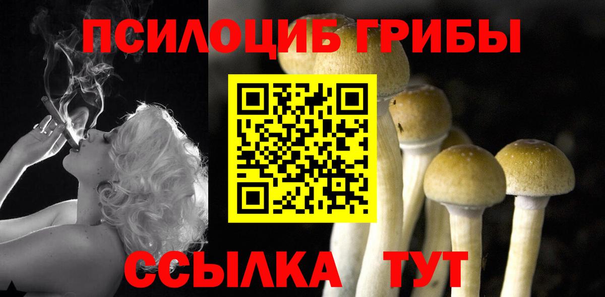Галлюциногенные грибы MAGIC MUSHROOMS Анжеро-Судженск