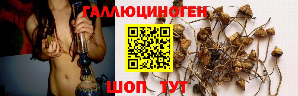 Анжеро-Судженск  Галлюциногенные грибы GOLDEN TEACHER  Вход с VPN 